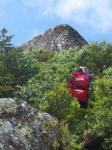 Ryzek heads up through thick stuff near the summit of The Nubble in New Hampshire