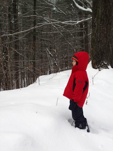 young hiker on snowy trail to Oak Hill in New Hampshire