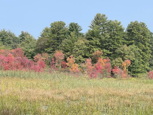 meadow in October at October Farm Riverfront near Concord in northeast MA