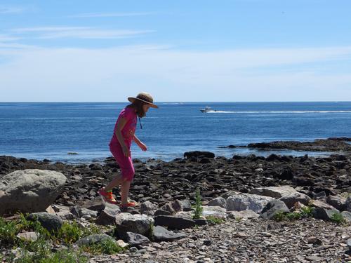 Talia checks the beach for treasures at Odiorne Point State Park on the seacoast of New Hampshire