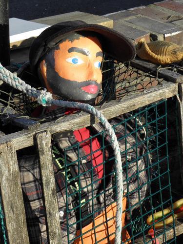 creative art featuring a lobsterman caught in his trap in Maine