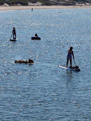 a pair of paddlers headed up the Ogunquit River with float-tube riders in tow at coastal southerm Maine