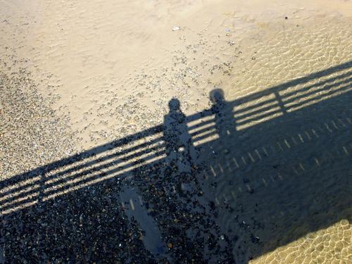 Fred and Betty Lou cast shadows from the footbridge over the Ogunquit River in southern coastal Maine