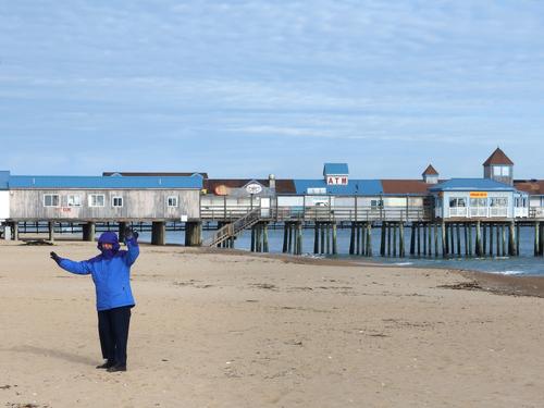 Betty Lou stands alone in January in front of the famous pier on Old Orchard Beach in southern coastal Maine