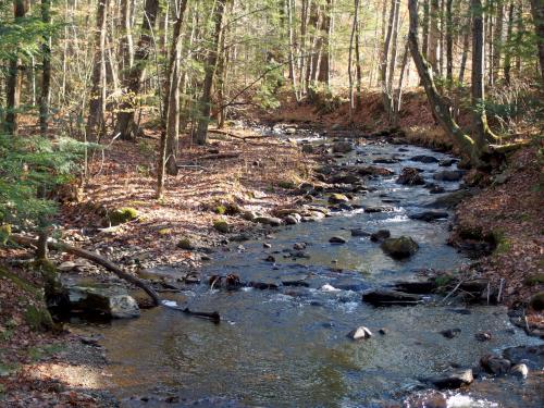 Amethyst Brook at Mount Orient in northwest Massachusetts