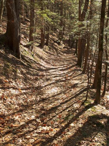 trail at Mount Orient in northwest Massachusetts