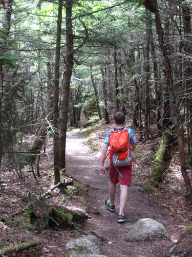 Carl hiking down from Mount Osceola in New Hampshire