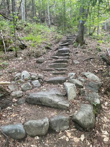 trail in June at Owlshead Mountain in northern VT