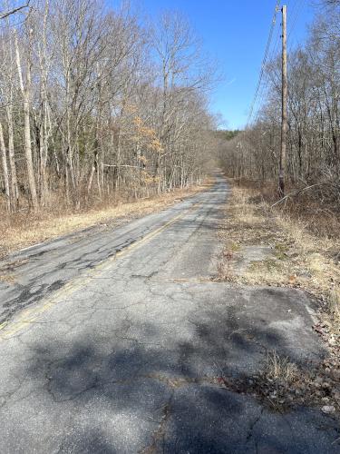 Sheridan Road in April at Oxbow National Wildlife Refuge North in Massachusetts
