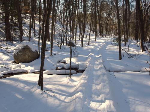 trail through Paint Mine Conservation Area at Lexington in Massachusetts