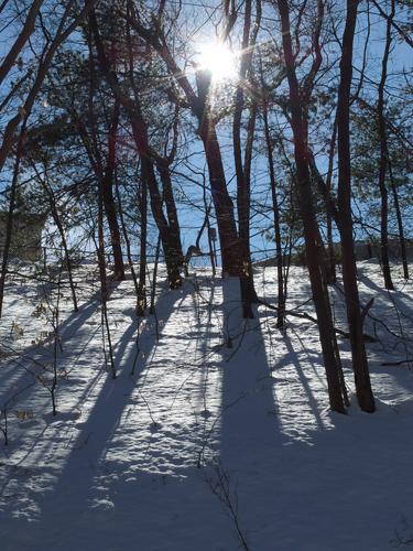tree shadows in winter at Paint Mine Conservation Area at Lexington in Massachusetts