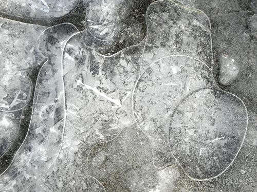 artistic ice pattern on the trail to Pawtuckaway South Mountain in New Hampshire