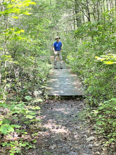 trail in July on the Peace Trail at Westford in northeast MA