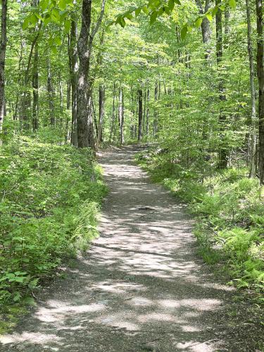 trail in May at Peaked Mountain near Monson in south-central MA