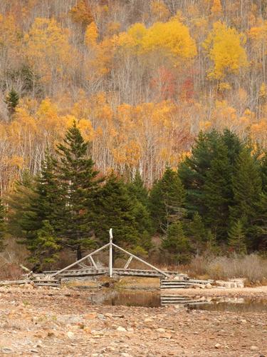footbridge and golden foliage at Jordan Pond near Penobscot Mountain in Acadia Park, ME
