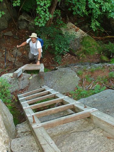 trail ladder to Mount Morgan in New Hampshire