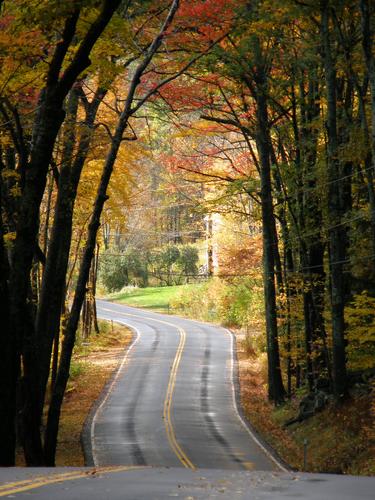 back-road fall foliage near Mount Morgan in New Hampshire