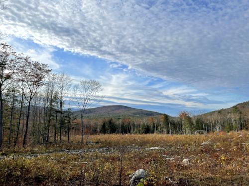 north view in November at Perkins Mountain in eastern New Hampshire