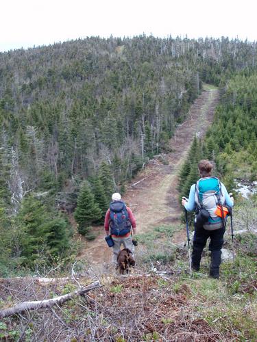 hikers on the border swath between New Hampshire and Quebec near West Prospect Hill