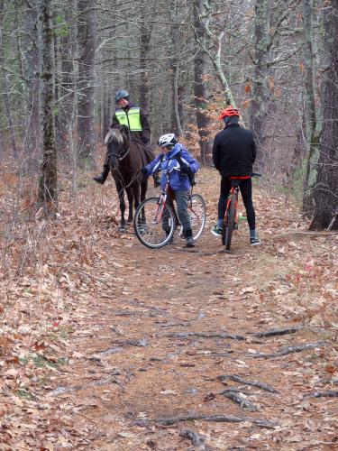 horse rider in November at Peterborough Rail Trail in southern New Hampshire