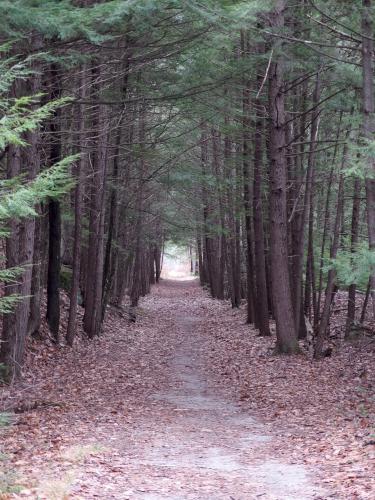 trail in November at Peterborough Rail Trail in southern New Hampshire