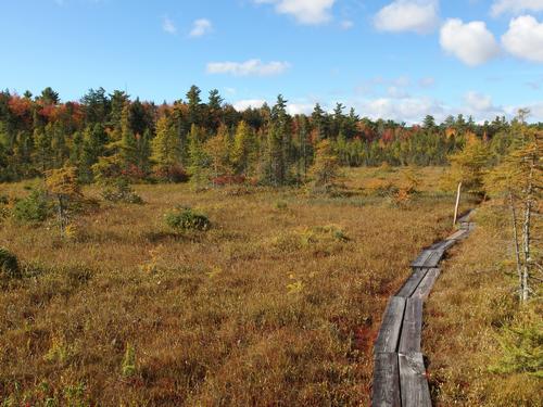 boardwalk view in October at Philbrick-Cricenti Bog in New Hampshire