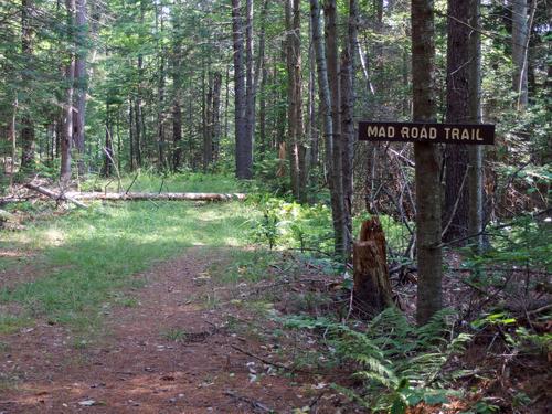 start of Mad Road Trail to the old fire tower at Pillsbury State Park in New Hampshire