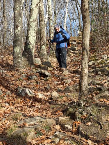 Andee hikes down trail at Pine Cobble in northwest Massachusetts