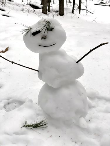 snowman in December at Pine Hill in New Hampshire