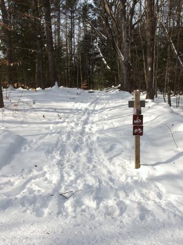 trail junction at Piscassic Greenway in southern New Hampshire