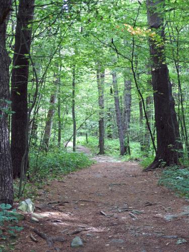 trail at Mount Pisgah in eastern Massachusetts