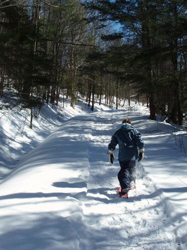 winter trail to Pitcher Mountain in New Hampshire