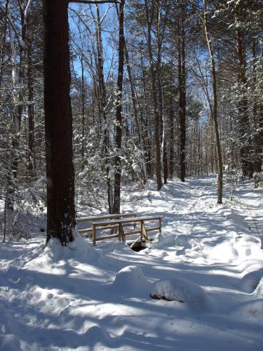 first footbridge in February at Plaistow Town Forest in southern New Hampshire