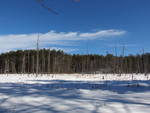 pond in February at Plaistow Town Forest in southern New Hampshire