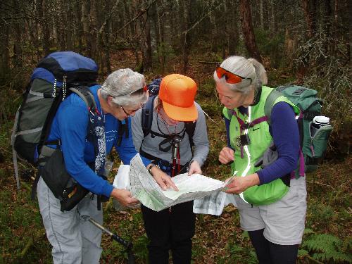Anne, Erica and Lisa check map and compass on a bushwhack to Mount Pliny in New Hampshire