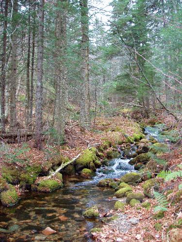 Priscilla Brook near Mount Pliny in New Hampshire