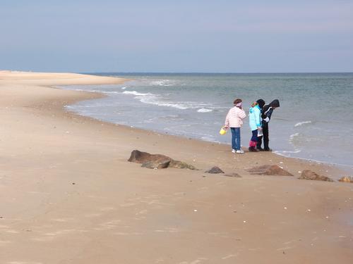 Mia, Elise and Margaret check out the beach edge in February at Plum Island in Massachusetts