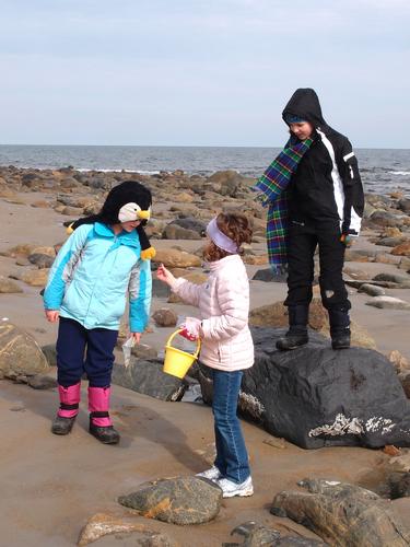 visitors at the rocky low-tide beach at Plum Island in Massachusetts