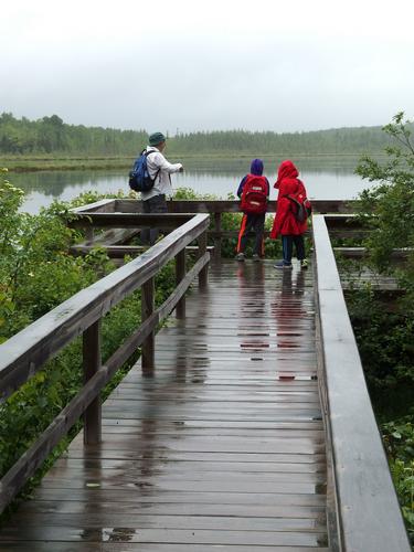 hikers on the viewing platform at Pondicherry Wildlife Refuge in northern New Hampshire