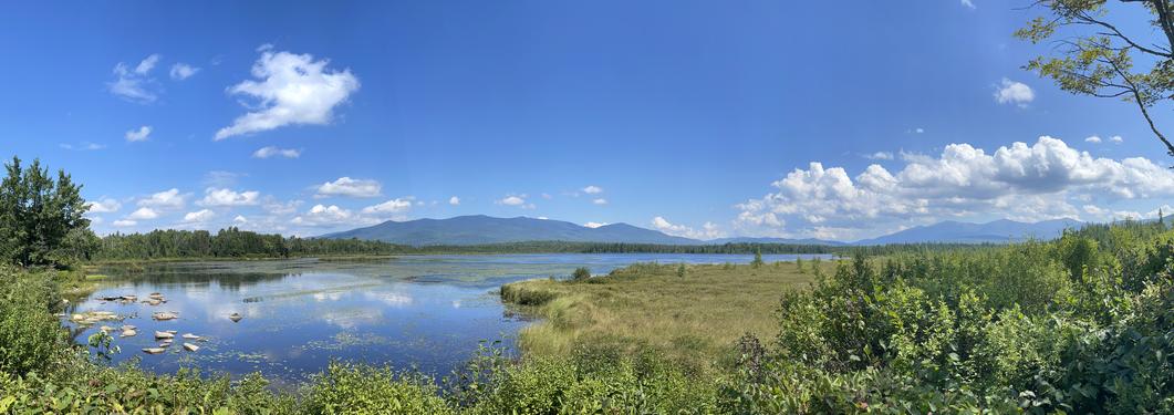 view in August from the shore of Cherry Pond at Pondicherry Wildlife Refuge in New Hampshire