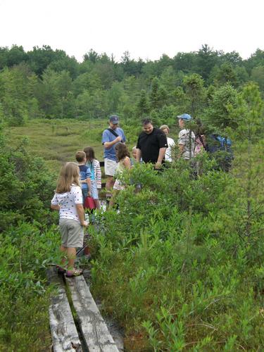 hikers on the boardwalk at Ponemah Bog in New Hampshire