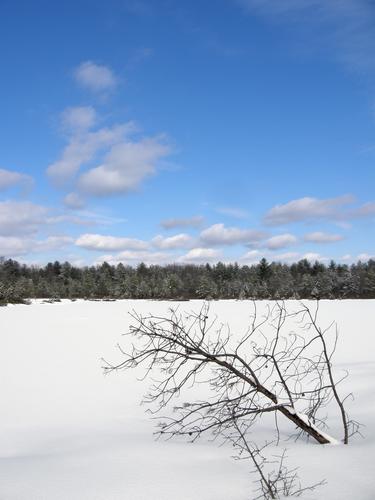 Ponemah Bog in winter in New Hampshire
