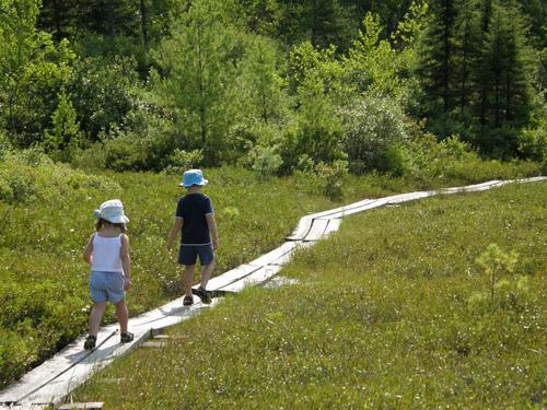 young visitors on the boardwalk at Ponemah Bog in New Hampshire