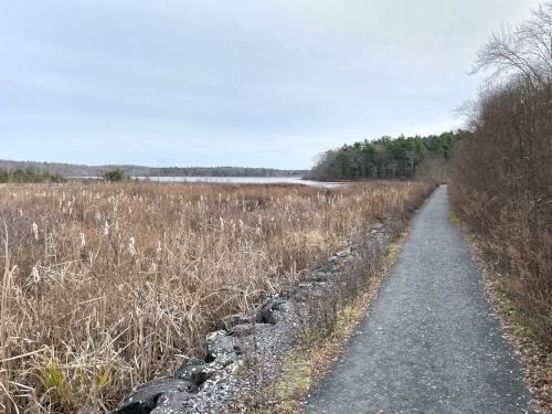 impoundment/trail in December beside Ponkapoag Pond in eastern Massachusetts