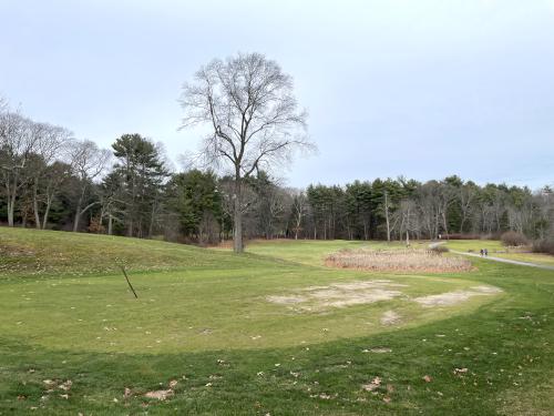golf course in December beside Ponkapoag Pond in eastern Massachusetts