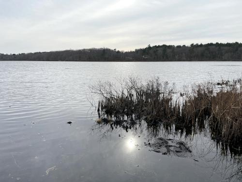 view in December at Ponkapoag Pond in eastern Massachusetts