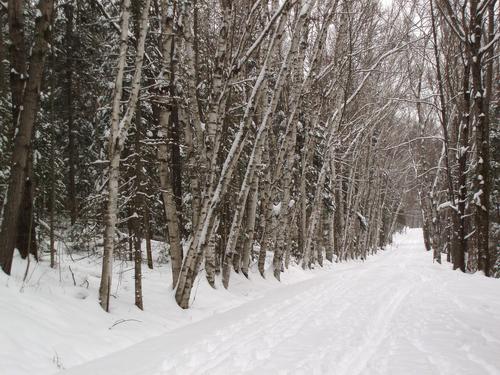 snowy road to Prospect Mountain in New Hampshire
