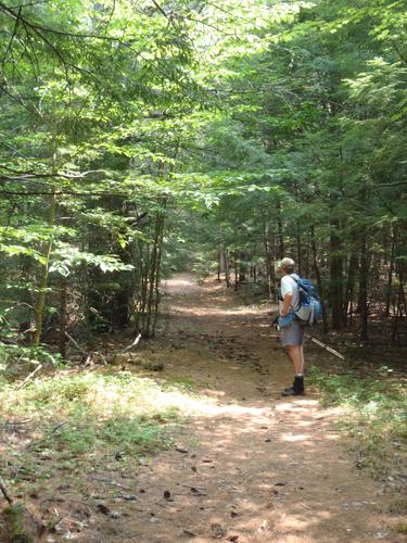 hiker on the trail to Mount Prospect in New Hampshire