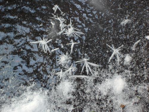 ice crystals on Pulpit Brook in New Hampshire