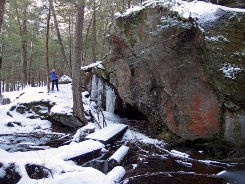 Andee in January at Pulpit Rock Conservation Area in New Hampshire